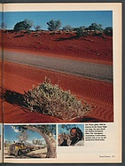 Seite 125 von Übersicht: auto motor und sport / Nr. 5 / 1988 - Titelseite