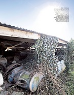 Seite 97 von Octane Nr. 15 / 2015