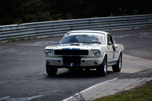 Shelby