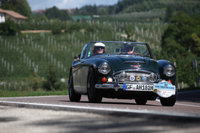 Austin-Healey