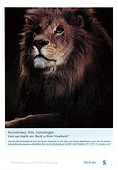 Seite 132 von SwissClassics Nr. 2 / 2005
