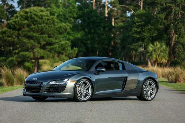 Audi R8