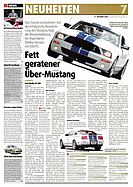Seite 7 von AR Nr. 41 / 2006
