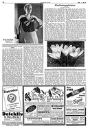 Seite 16 von AR Nr. 32 / 1933 vom 11.04