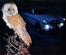 Rover 3,5 Litre - Prospekt (1971, engl.) - Seite 4