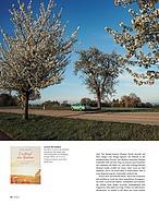 Page 84 of Octane Nr. 46 / 2020
