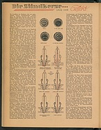 Seite 14 von Übersicht: Das Auto / Nr. 5 / 1947 - Titelseite