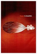 Seite 14 von AR Nr. 13 / 2001