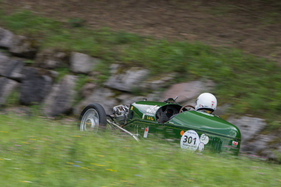 Bild für Altbüron 2017 Feld 3