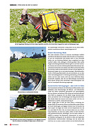 Seite 144 von SwissClassics Nr. 3 / 2010