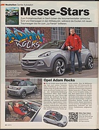 Seite 34 von auto motor und sport Nr. 6 / 2013