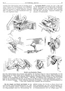 Seite 15 von AR Nr. 5 / 1918 vom 31.05