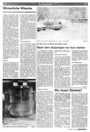 Seite 3 von AR Nr. 50 / 1981 vom 03.12