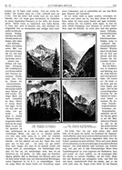 Seite 315 von AR Nr. 19 / 1910 vom 15.07