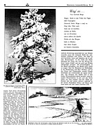 Seite 6 von Illustrierte AR Nr. 4 / 1933 vom 01.11