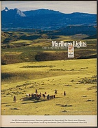 Seite 15 von Übersicht: auto motor und sport / Nr. 15 / 2002 - Titelseite