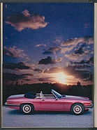 Seite 304 von Übersicht: auto motor und sport / Nr. 8 / 1988 - Titelseite