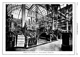 Seite 665 von AR Nr. 40 / 1910 vom 27.12