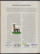 Seite 136 von Übersicht: auto motor und sport / Nr. 12 / 1991 - Titelseite