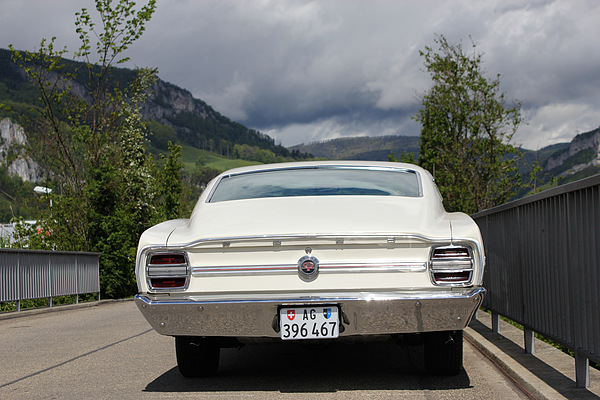 Ford (US) Torino