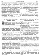 Seite 310 von AR Nr. 19 / 1910 vom 15.07