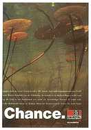 Seite 33 von AR Nr. 19 / 1995