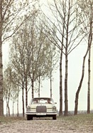 Teaserbild