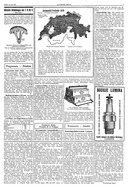 Seite 3 von AR Nr. 24 / 1920 vom 17.06