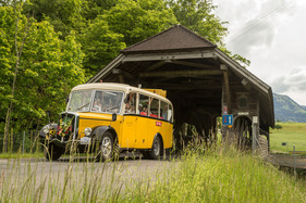 Teaserbild