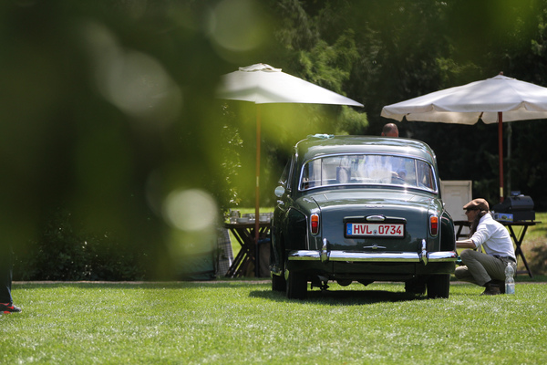 Rover 100