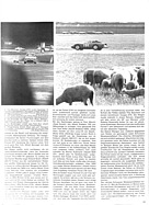 Seite 39 von Übersicht: Powerslide Nr. 6 / 1966 Titelseite