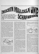 Seite 34 von Übersicht: Powerslide Nr. 5 / 1968 Titelseite