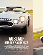 Teaserbild
