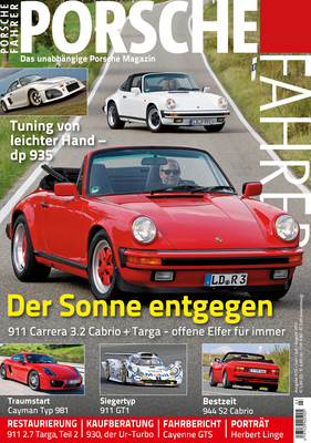Porsche Fahrer / Nr. 3 (2013)