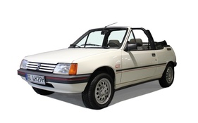 6. Preis Peugeot 205 Cabrio - 29. Oldtimerspendenaktion der Lebenshilfe Gießen 2023 6. Preis Peugeot 205 Cabrio - 29. Oldtimerspendenaktion der Lebenshilfe Gießen 2023