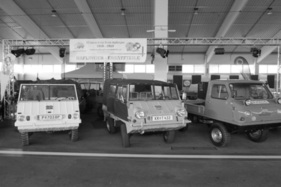60 Jahre Haflinger 60 Jahre Haflinger