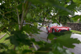 A.C. ACE (1955) - an der Mille Miglia 2016