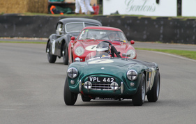 AC Ace (1954) - im Rennen um die Fordwater Trophy am Goodwood Revival 2013