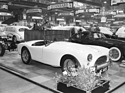AC Ace (1954) - macht auf der Autoausstellung einen sehr guten Eindruck