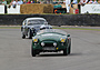 AC Ace (1955) - im Rennen um die Fordwater Trophy am Goodwood Revival 2013 (© Bruno von Rotz, 2013) AC Ace (1955) - im Rennen um die Fordwater Trophy am Goodwood Revival 2013 (© Bruno von Rotz, 2013)