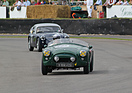 Bild: AC Ace (1955) - im Rennen um die Fordwater Trophy am Goodwood Revival 2013