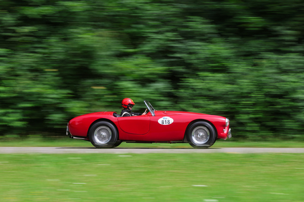 AC Ace (1960) - Startfeld 8 "Formel-Rennwagen und offene Sportwagen" - Oldtimer GP Brugger Schachen 2024