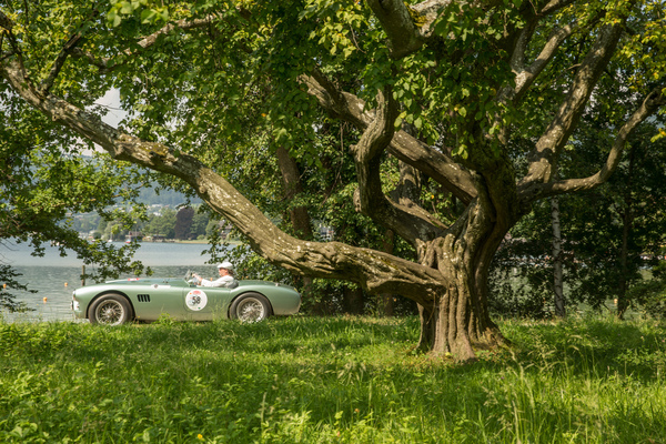 AC Ace Bristol (1958) - 32. Ennstal-Classic 2024