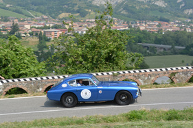 AC Aceca Bristol (1956) - at the Vernasca Silver Flag hill climb 2014