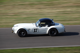 AC Cobra (1962) - im Feld des Shelby Cup am Goodwood Revival 2012 (1962)