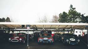 AC Cobra (1963) - Graham Hill Trophy - Goodwood Members' Meeting 2017