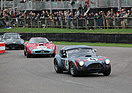 AC Cobra (1963) - Royal Automobile Club TT Celebration am Goodwood Revival 2013