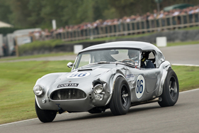 AC Cobra (1963) - Royal Automobile Club TT Cup - Goodwood Revival 2021