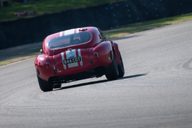 AC Cobra (1963) - Royal Automobile Club TT Cup - Goodwood Revival 2021