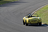 AC Cobra (1963) - im Feld des Shelby Cup am Goodwood Revival 2012 (© Bruno von Rotz, 2012) AC Cobra (1963) - im Feld des Shelby Cup am Goodwood Revival 2012 (© Bruno von Rotz, 2012)